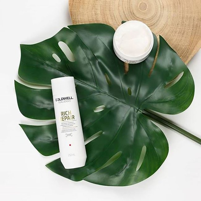 Dualsenses Rich Repair Shampoo 250ml