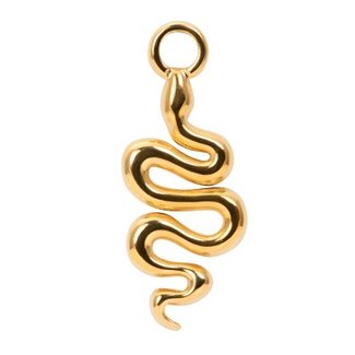 iXXXi jewellery Last Items SALE! Charm Snake - Goudkleurig