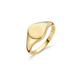 Blush Gold Jewels Zegelring 1218YGO - 14k Geelgoud