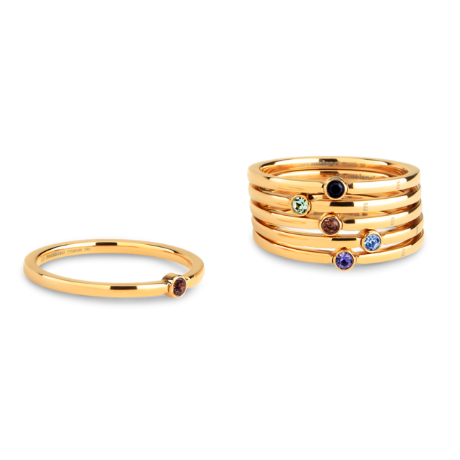 Friends Mini CZ Ring Black - Goudkleurig