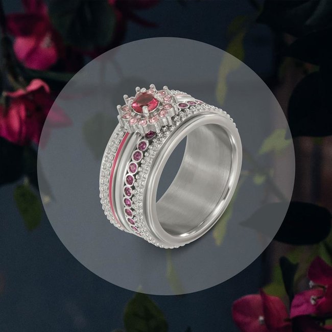 Vulring Small Circle Stone Fuchsia 2mm - Zilver