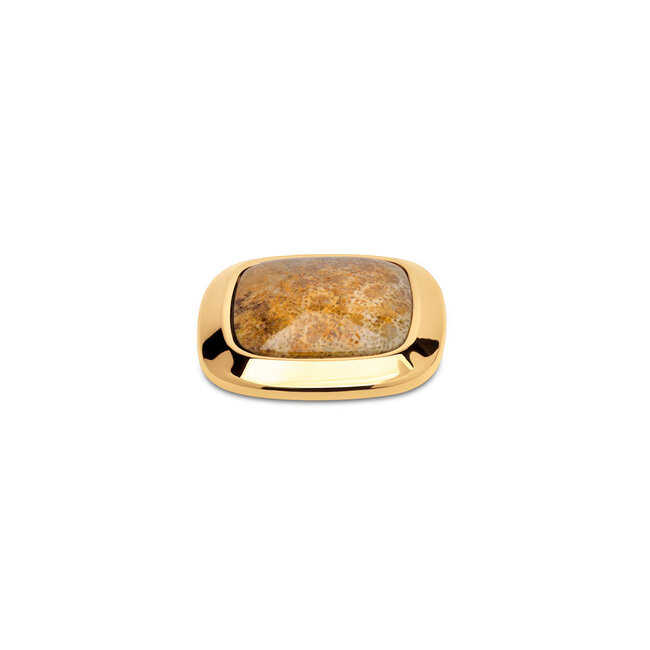 Kosmic Gem Square Steen Fossil Coral - Goudkleurig