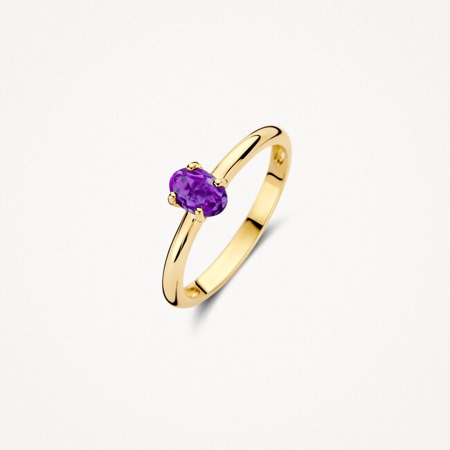 Ring 1242YAM - 14k Geelgoud met Amethyst
