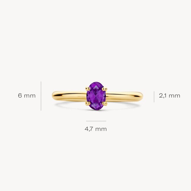 Ring 1242YAM - 14k Geelgoud met Amethyst