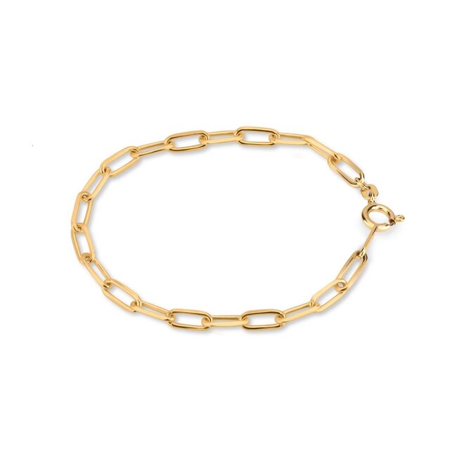 Armband Ornaments Diamond Paperclip -Gold plated zilver