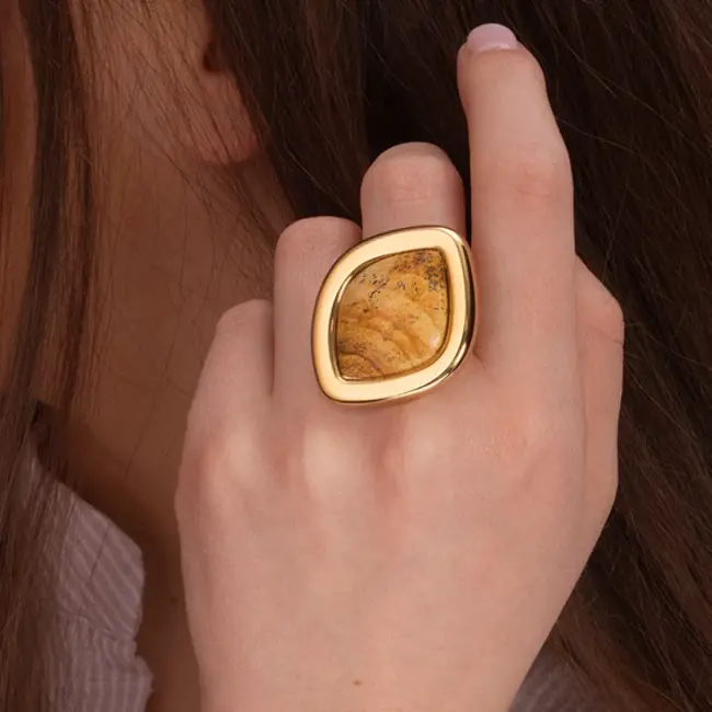 Kosmic Gem Eye Steen - Picture Jasper