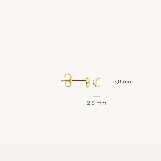 Oorknoppen 7321YGO - 14k Geel goud