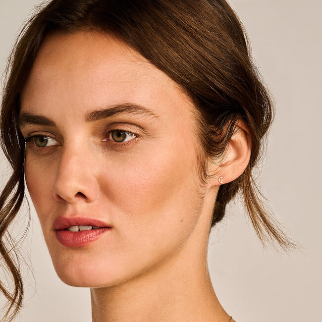 Oorknoppen 7320YGO - 14k Geel goud