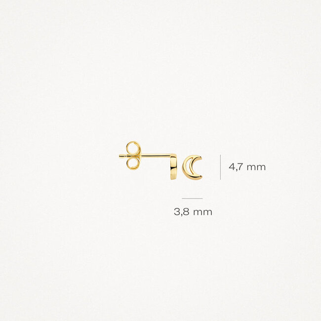 Oorknoppen 7320YGO - 14k Geel goud