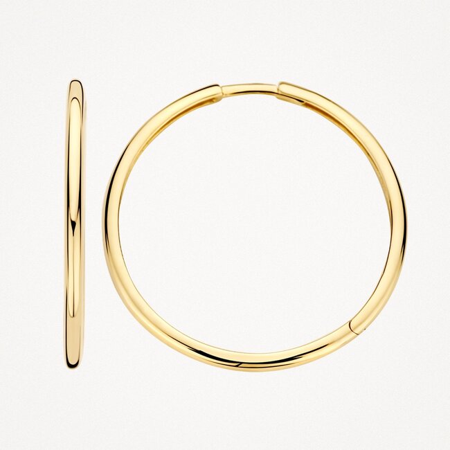 Oorringen 7312YGO - 14k Geel goud