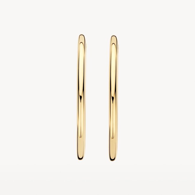 Oorringen 7312YGO - 14k Geel goud