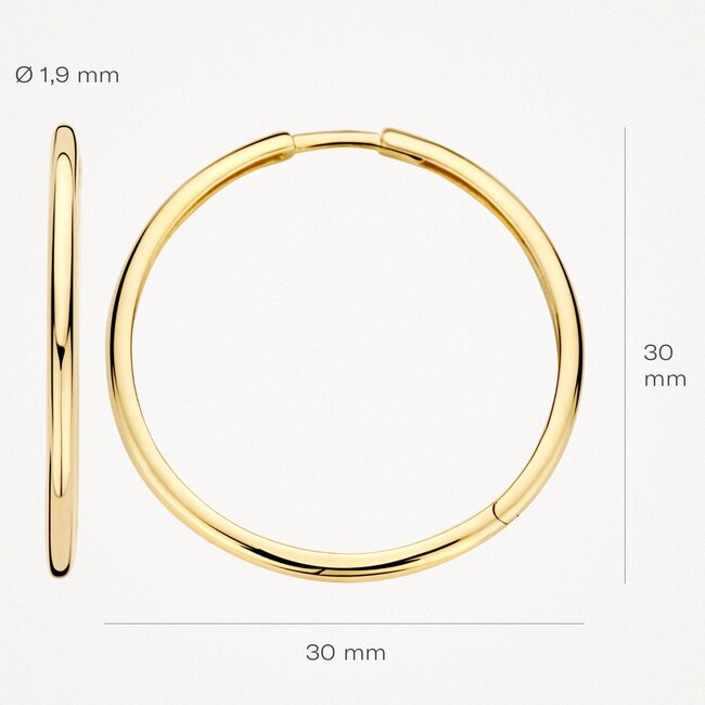 Oorringen 7312YGO - 14k Geel goud