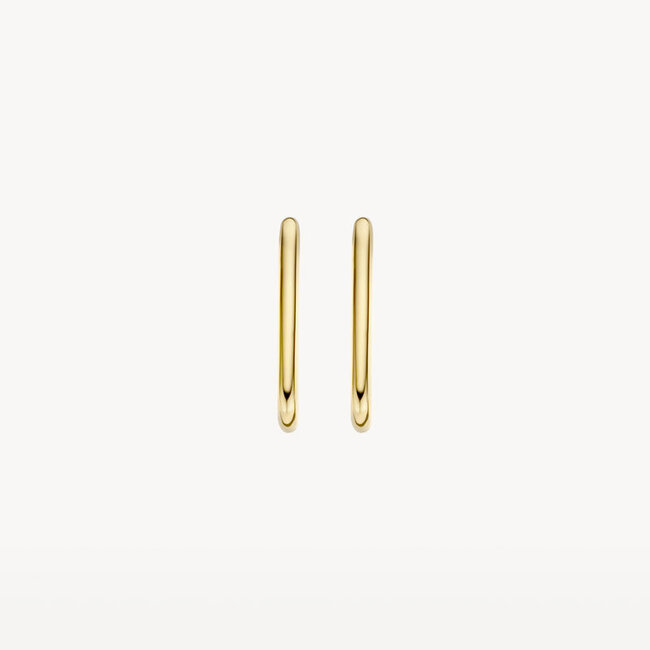 Oorringen 7295YGO - 14k Geel goud