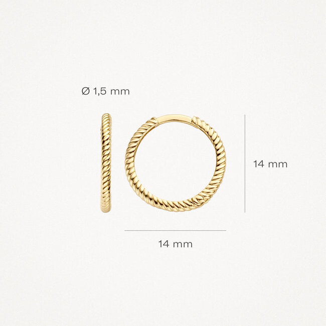 Oorringen 7286YGO - 14k Geelgoud