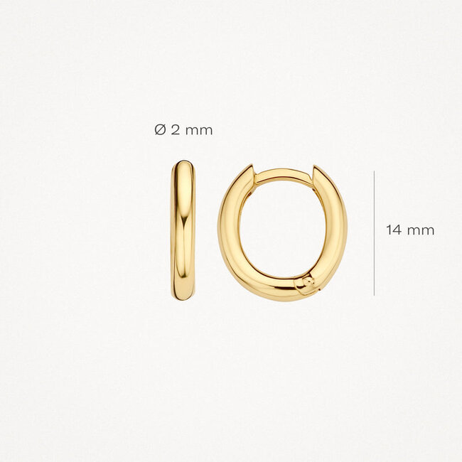 Oorringen 7217YGO - 14k Geelgoud