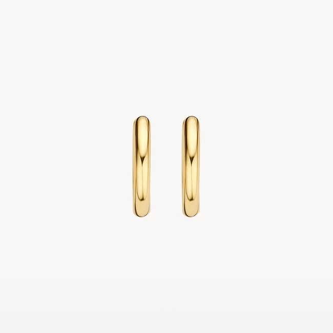 Oorringen 7217YGO - 14k Geelgoud