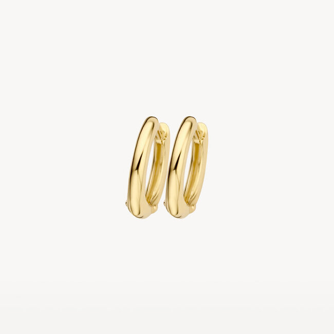 Oorringen 7217YGO - 14k Geelgoud