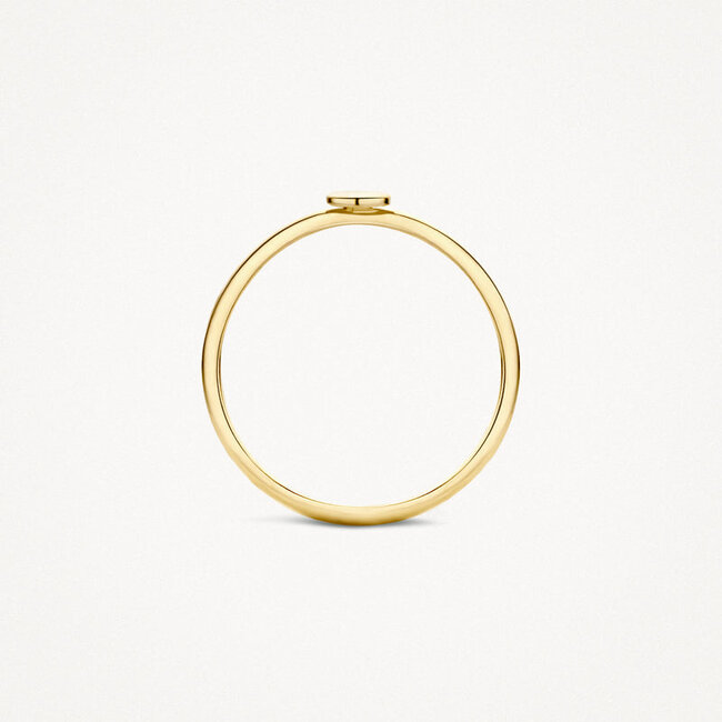 Ring 1212YGO - 14k Geelgoud