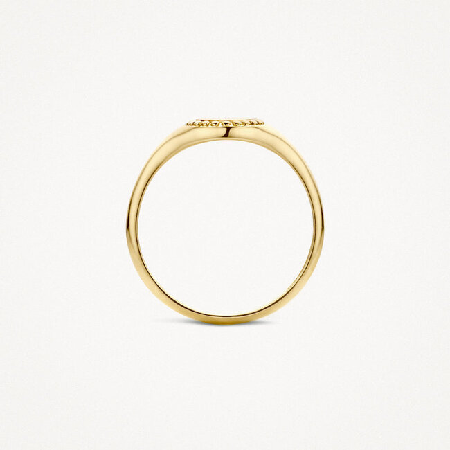 Ring 1206YGO - 14k Geelgoud