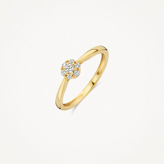 Blush Gold Jewels Ring 1248YZI - 14k Geel goud met zirkonia