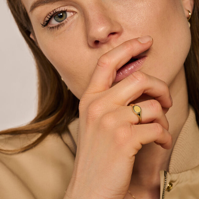 Zegelring 1219YMP - 14k Geelgoud met Mother of Pearl