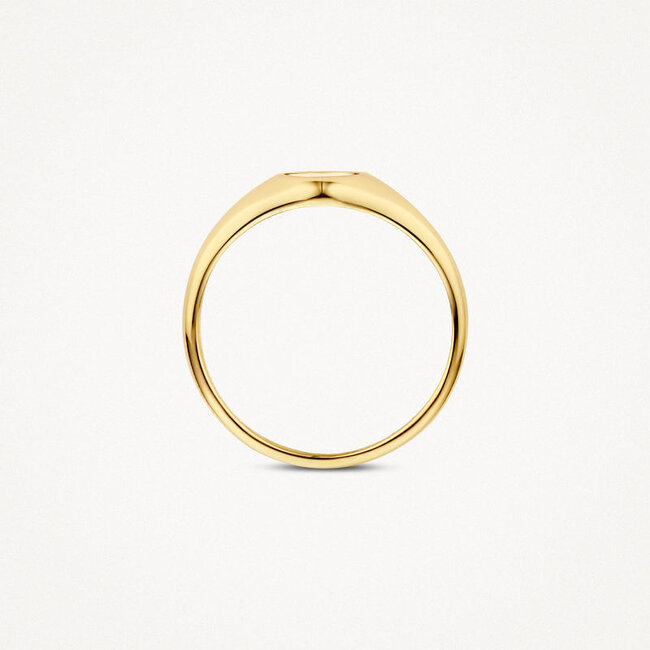 Zegelring 1219YMP - 14k Geelgoud met Mother of Pearl