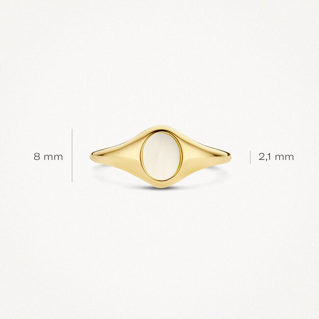 Zegelring 1219YMP - 14k Geelgoud met Mother of Pearl