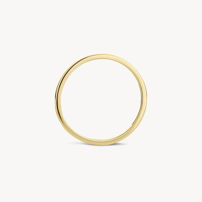 Ring 1197YGO - 14k Geelgoud