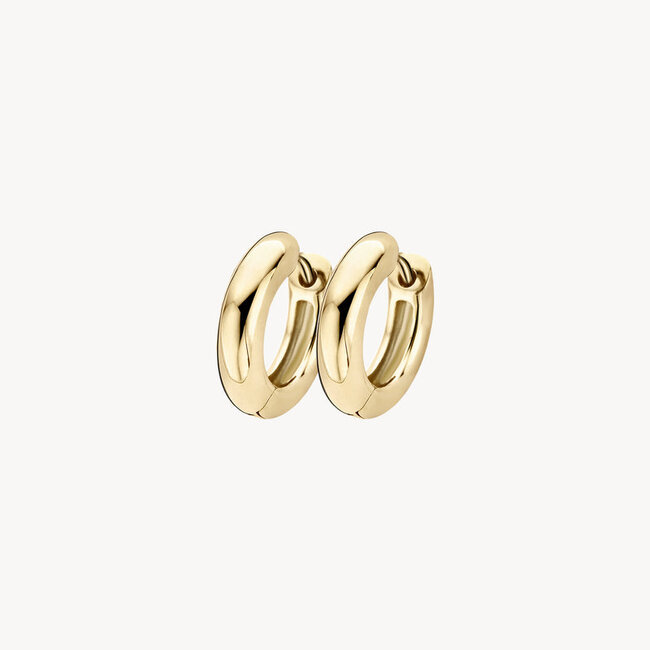 Oorringen 7026YGO - Geel Goud (14Krt.)