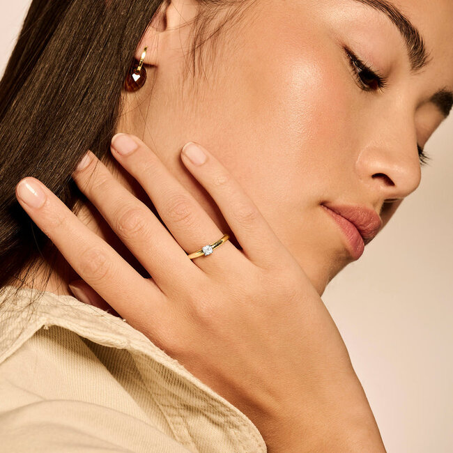 Ring 1067BZI - 14k Geel -en Witgoud met zirkonia