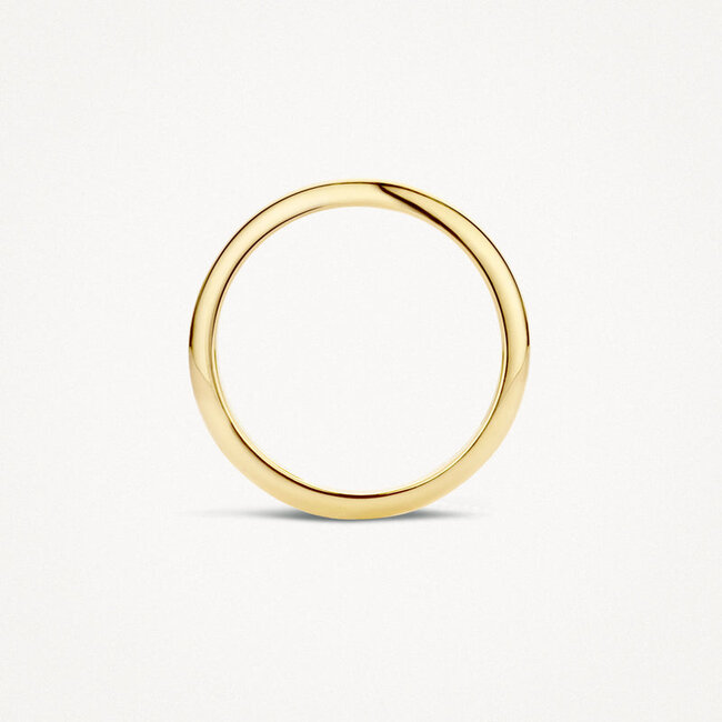 Ring 1117YGO - 14k Geelgoud