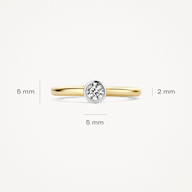 Ring 1124BZI - 14k Geel en Witgoud met Zirkonia