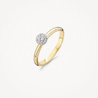 Blush Gold Jewels Ring 1131BZI - 14k Geel en Witgoud met Zirkonia