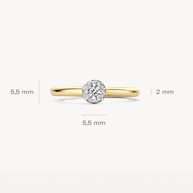 Ring 1131BZI - 14k Geel en Witgoud met Zirkonia
