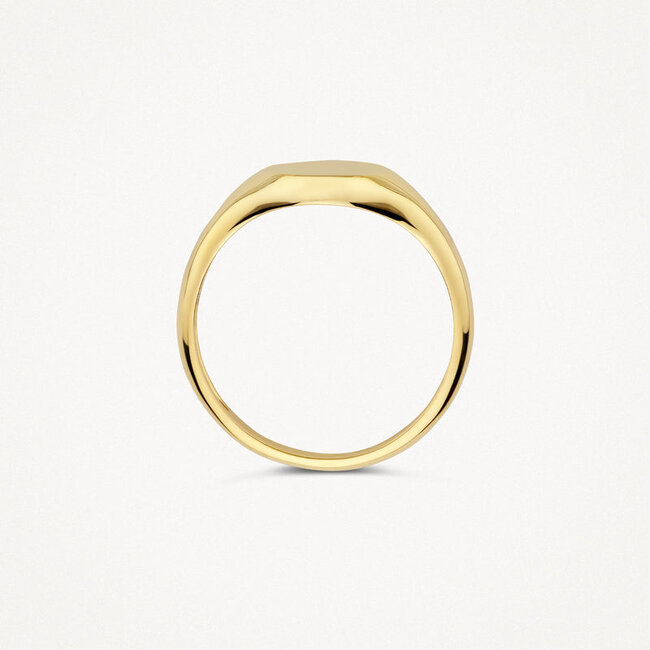 Ring 1190YGO - 14k Geelgoud