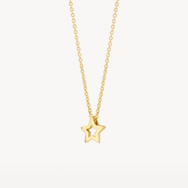 Collier 3151YGO - 14k Geelgoud