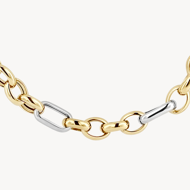 Collier 3100BGO - Geel en Wit Goud (14Krt.)