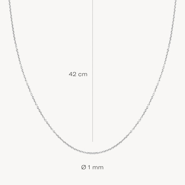 Collier 3046WGO/42 - Wit Goud (14Krt.)