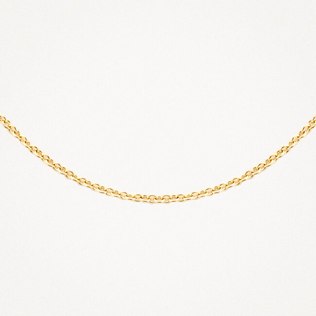 Collier 3010YGO/45 - Geel Goud (14Krt.)