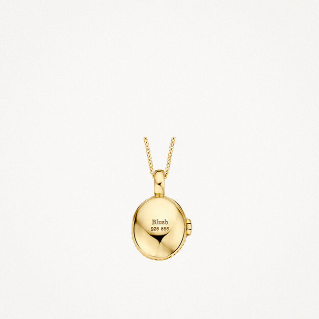 Hanger Medaillon 6087YGO - 14k Geelgoud