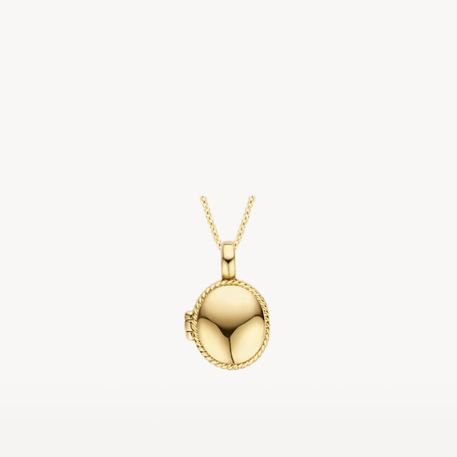 Hanger Medaillon 6087YGO - 14k Geelgoud