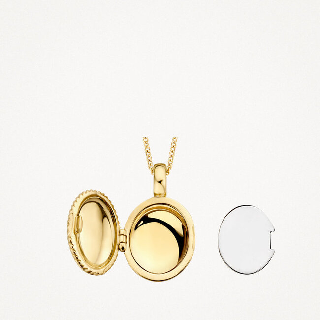 Hanger Medaillion 6081YGO - 14k Geelgoud