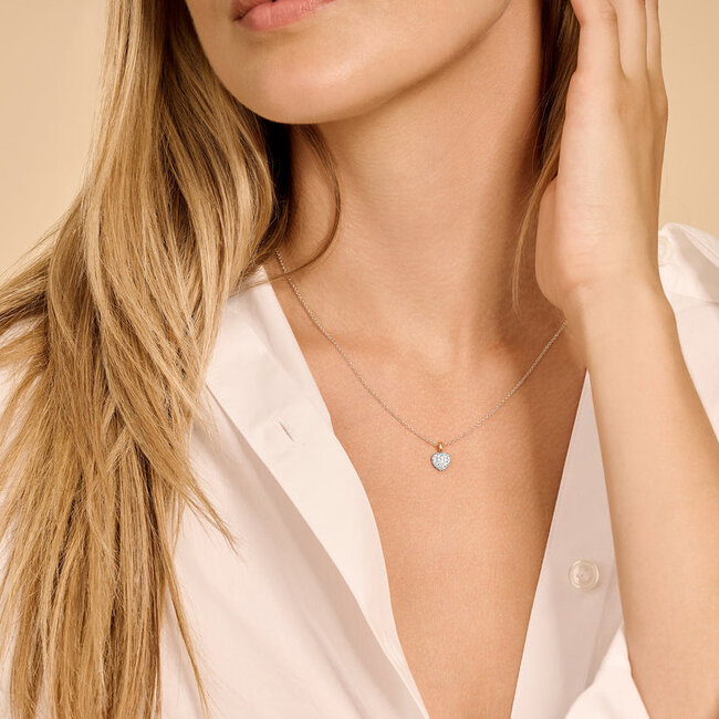 Hanger 6068BZI 14k  - Geel en witgoud met zirkonia