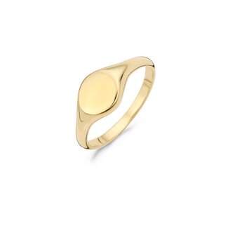 Blush Gold Jewels Zegelring 1191YGO - 14k Geelgoud