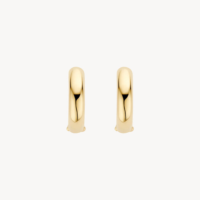 Oorringen 7316YGO - 14k Geelgoud