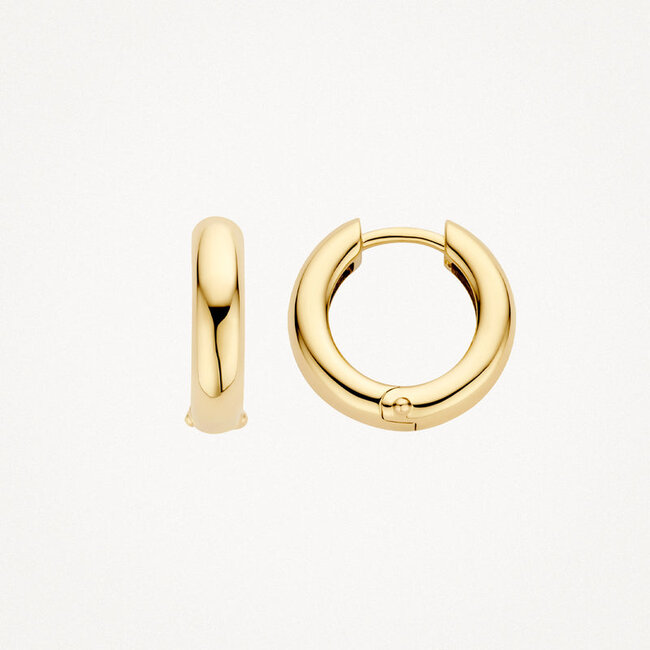 Oorringen 7316YGO - 14k Geelgoud