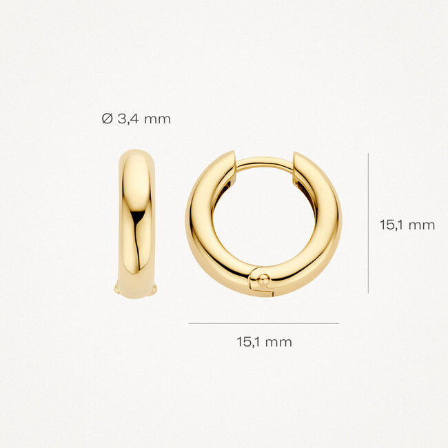 Oorringen 7316YGO - 14k Geelgoud