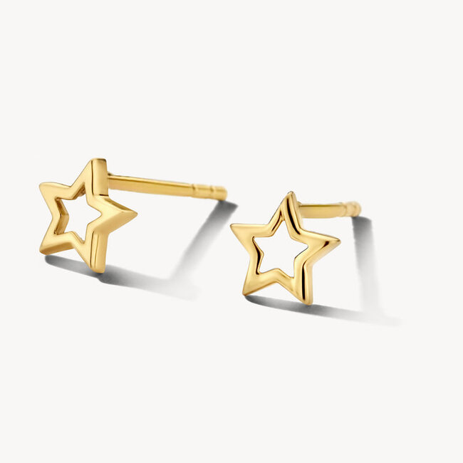 Oorknoppen 7248YGO - Geelgoud (14Krt.)