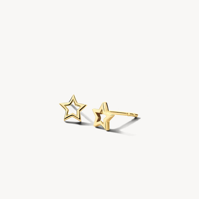 Oorknoppen 7248YGO - Geelgoud (14Krt.)