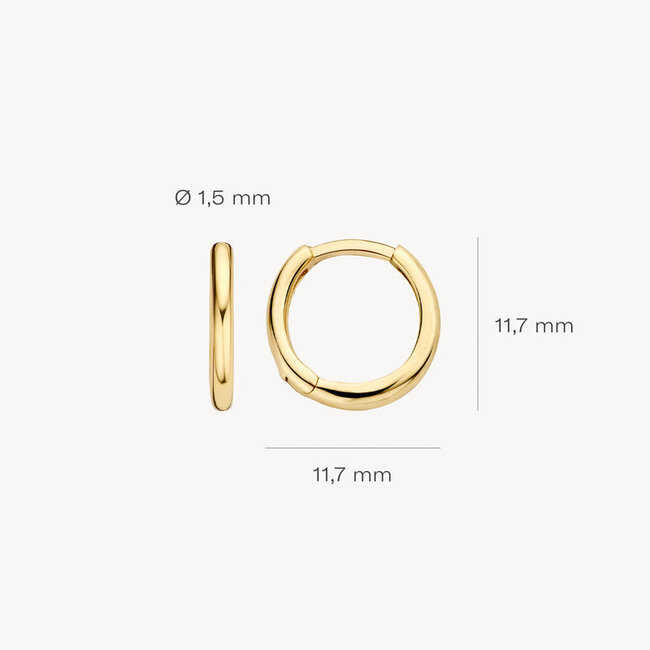Oorringen 7233YGO - Geelgoud (14krt.)